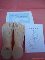 上海中界教學(xué)儀器 醫(yī)藥教學(xué)器材的領(lǐng)航者與中醫(yī)器械的融合